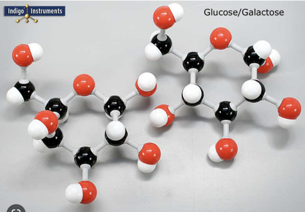 3D molecular model